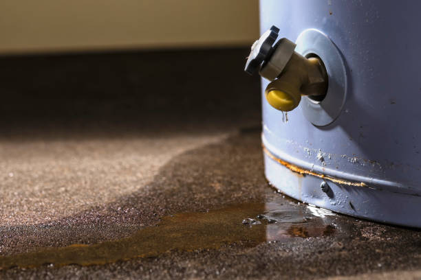 Best Ceiling water damage repair  in Peach Lake, NY