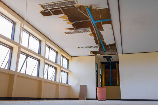 Best Water damage restoration near me  in Peach Lake, NY