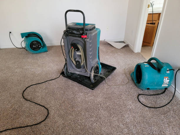 Best 24/7 water damage repair  in Peach Lake, NY