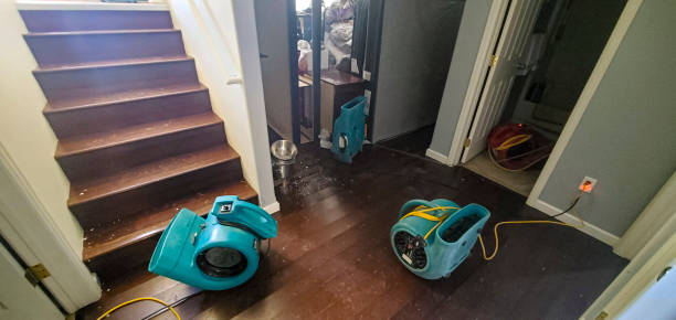 Best 24-hour water damage restoration  in Peach Lake, NY