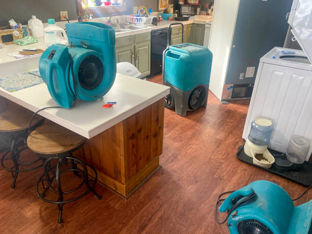 Best Water damage restoration near me  in Peach Lake, NY