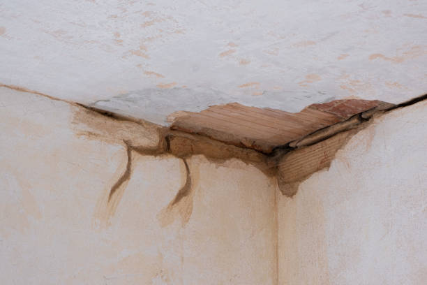 Best Commercial water damage restoration  in Peach Lake, NY