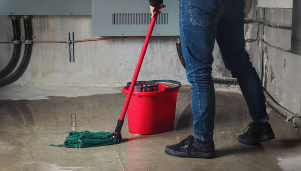 Best Water damage cleanup near me  in Peach Lake, NY