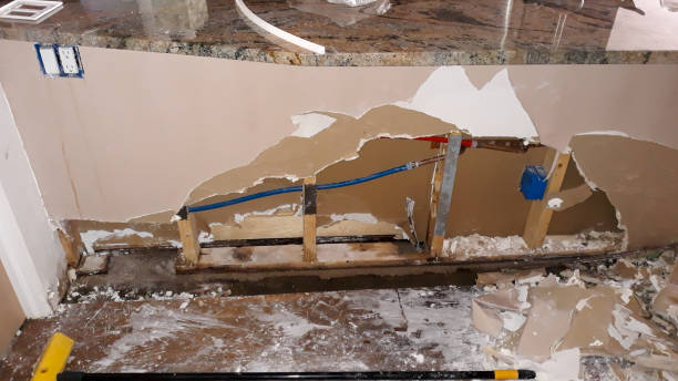 Best Mold removal after water damage  in Peach Lake, NY