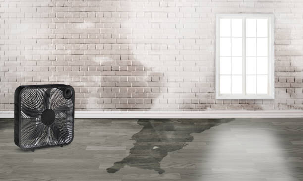 Best Residential water damage restoration  in Peach Lake, NY