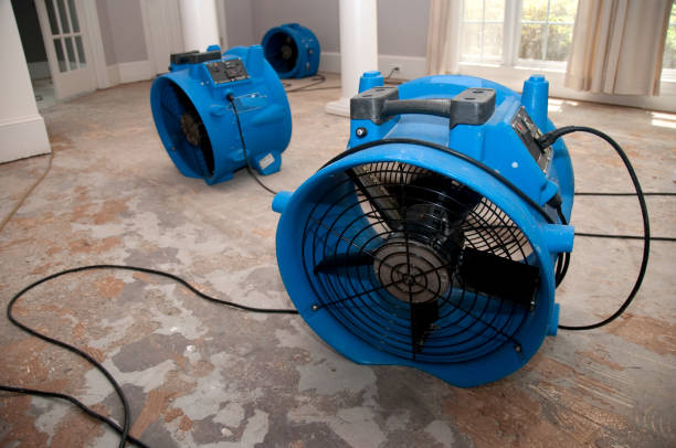 Best Carpet water damage restoration  in Peach Lake, NY