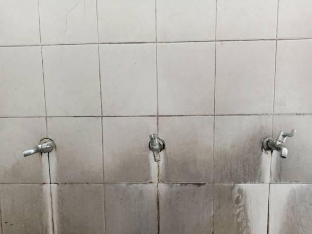 Best Professional water damage repair  in Peach Lake, NY