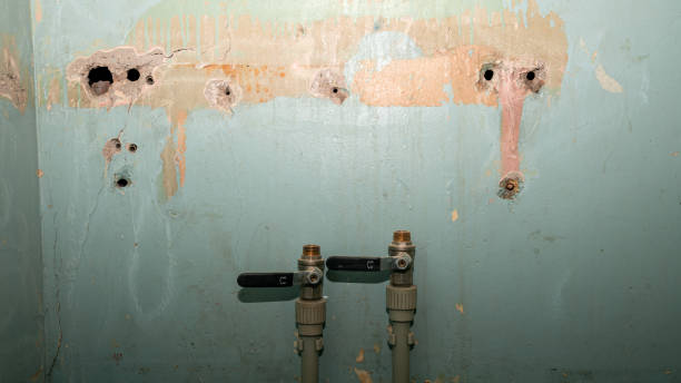 Best Flood restoration services  in Peach Lake, NY