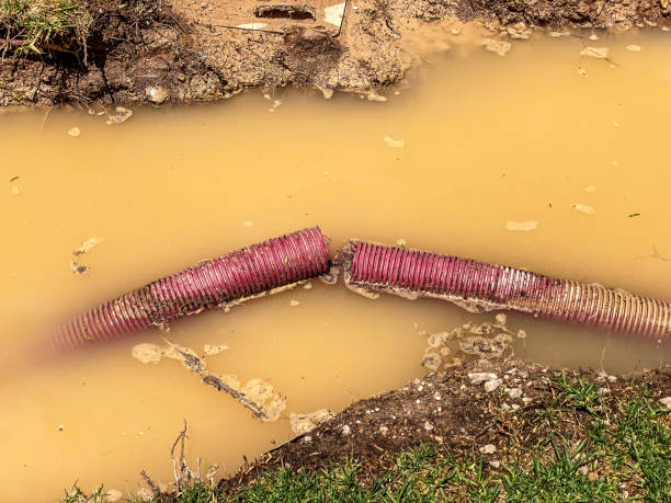 Professional Water damage restoration in Peach Lake, NY